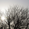 Thumbnail of related posts 086