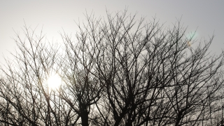 Thumbnail of post image 049