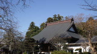Thumbnail of post image 143
