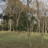 Thumbnail of new posts 109