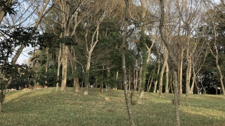 Thumbnail of post image 050