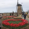 Thumbnail of new posts 044