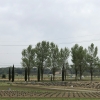 Thumbnail of new posts 053