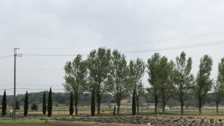 Thumbnail of post image 033